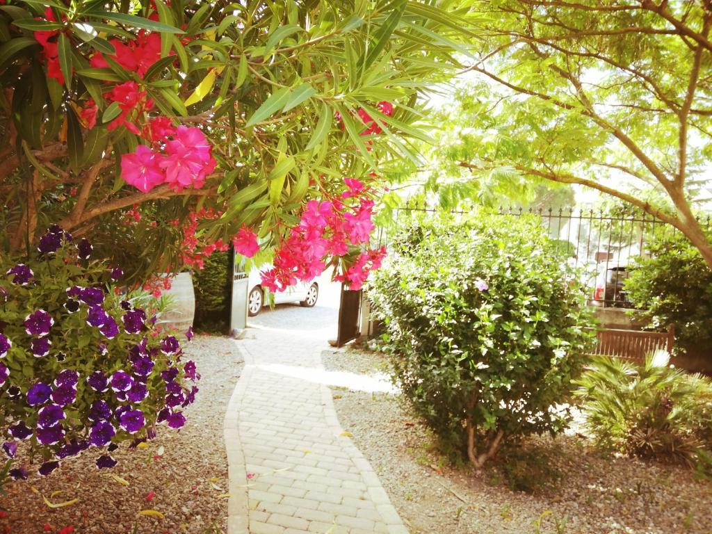 La Maison des Palmiers photo 2