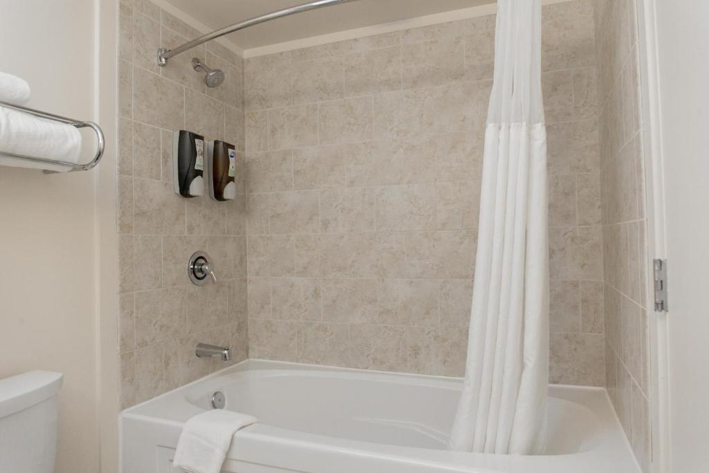 Двухместный (Стандартный двухместный номер с 1 кроватью), Chicago South Loop Hotel