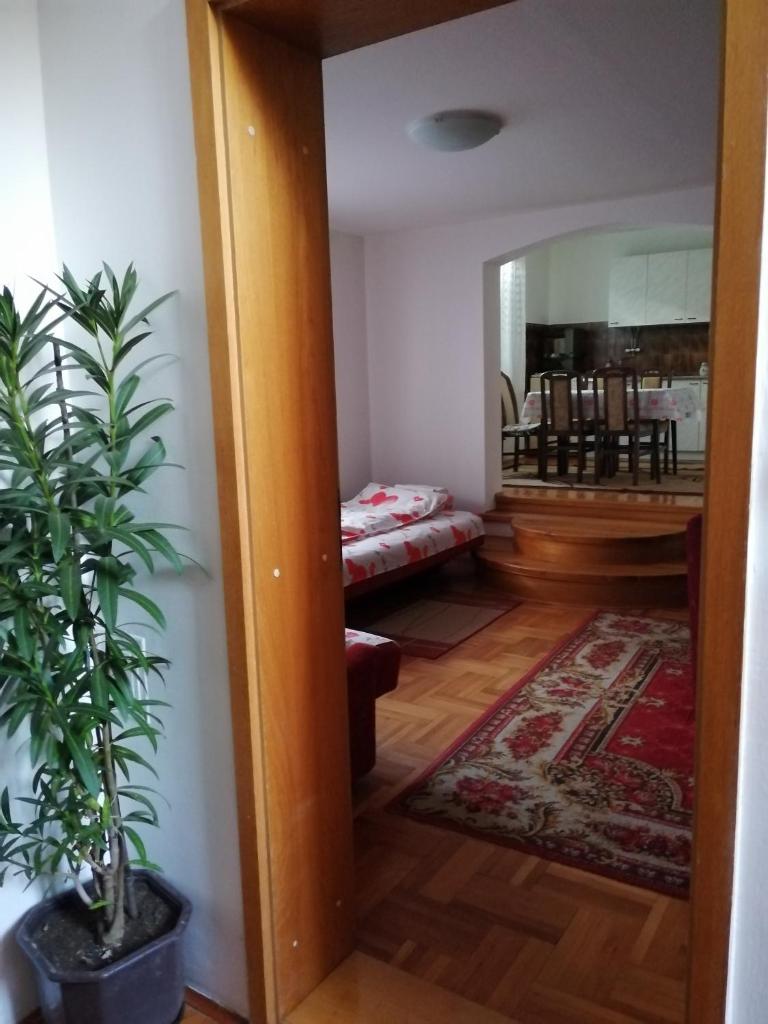 Pansion Velickovic photo 4