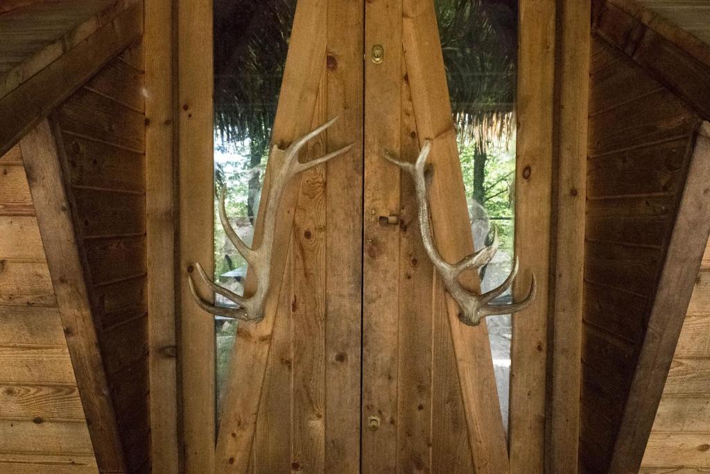 Parc Omega - Tap to explore photos