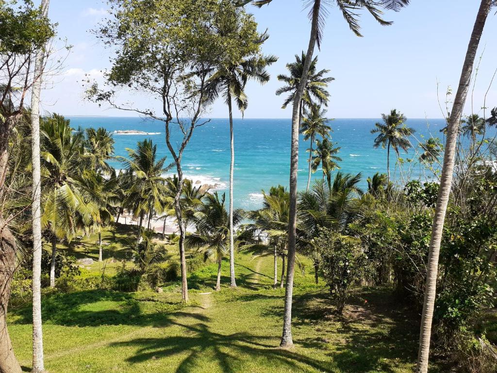 Star Beach Hotel photo 1