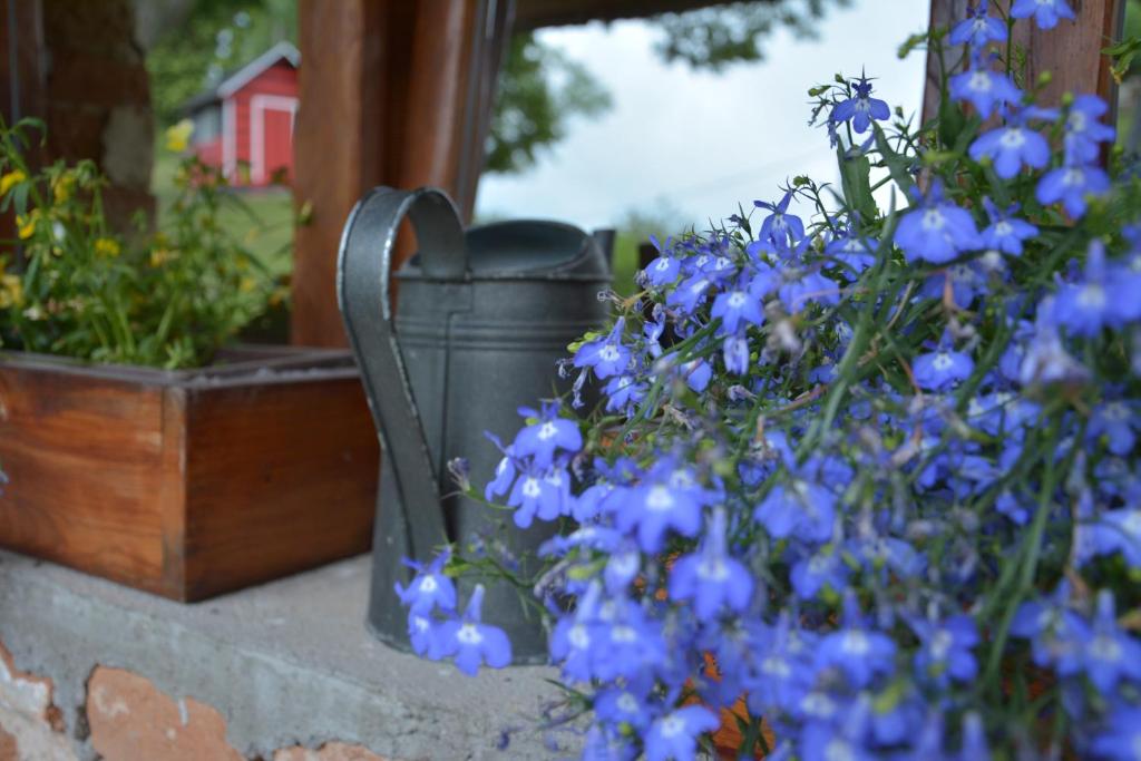 Apartmány Javorek photo 1