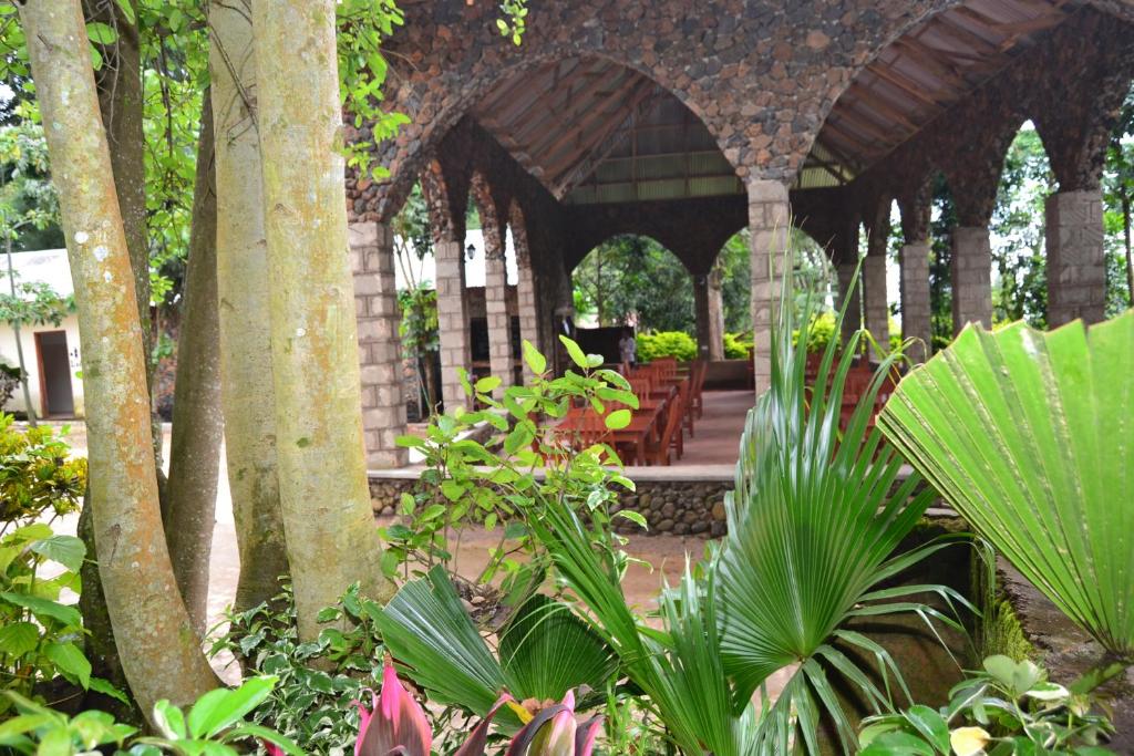 Serene Mountain Lodge photo 3