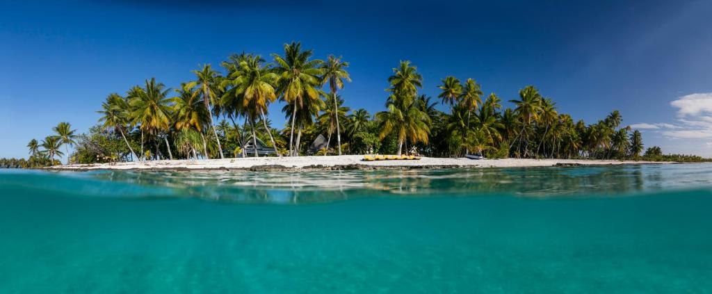 Fafarua Ile Privée Private Island photo 1