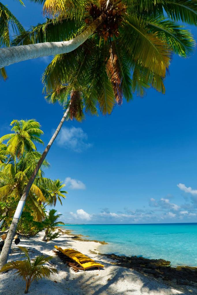 Fafarua Ile Privée Private Island photo 2