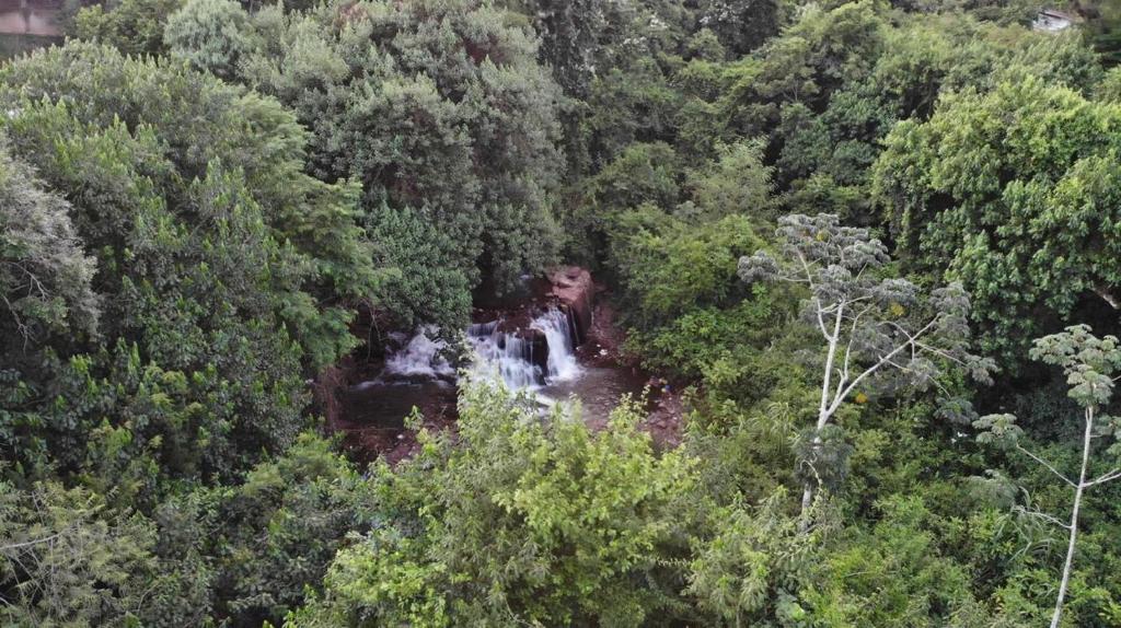 Cachoeira dos pássaros photo 3