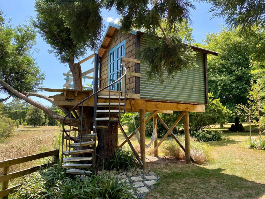 Tui Ridge Eco Cabins photo 1