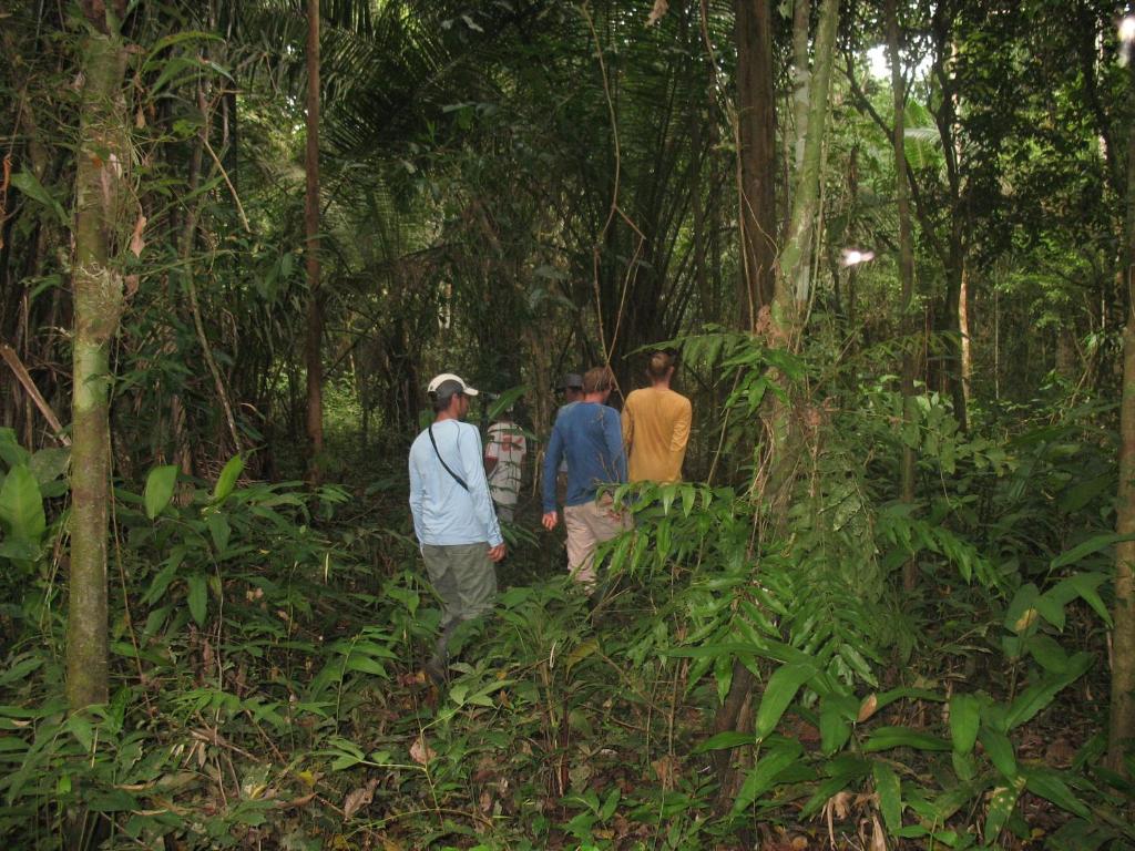 CABAÑA Amazon LODGE photo 3