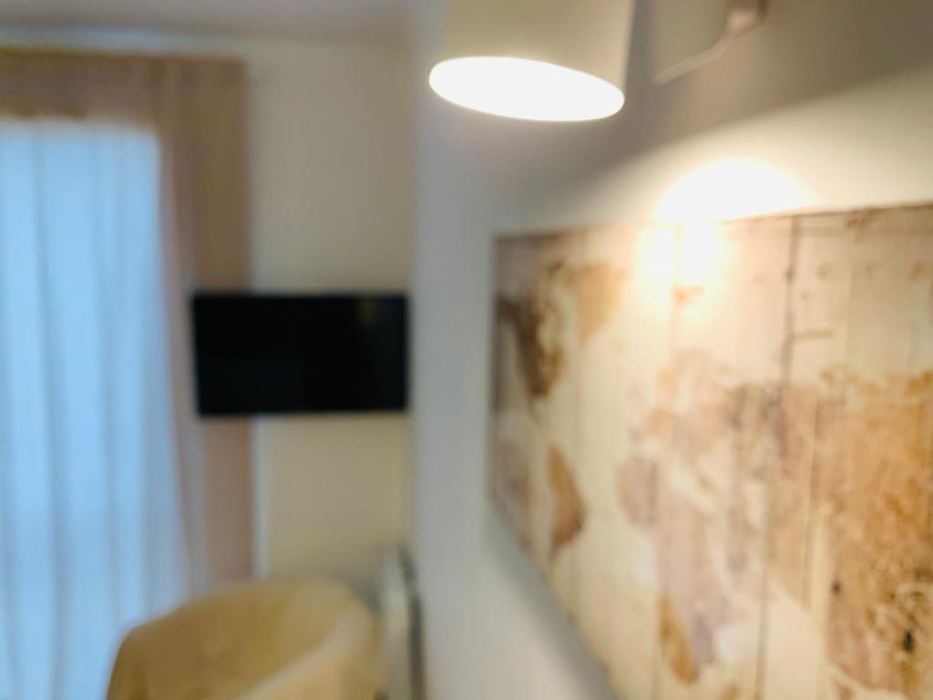 TULIPE STUDIO photo 4