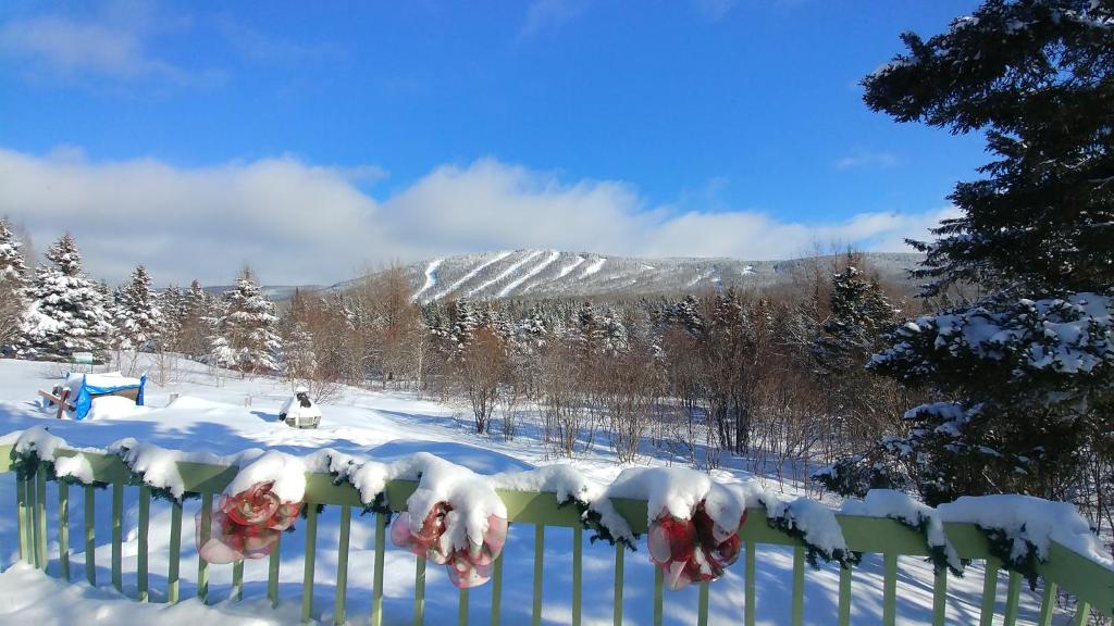 Oasis du grand fond Inc photo 4