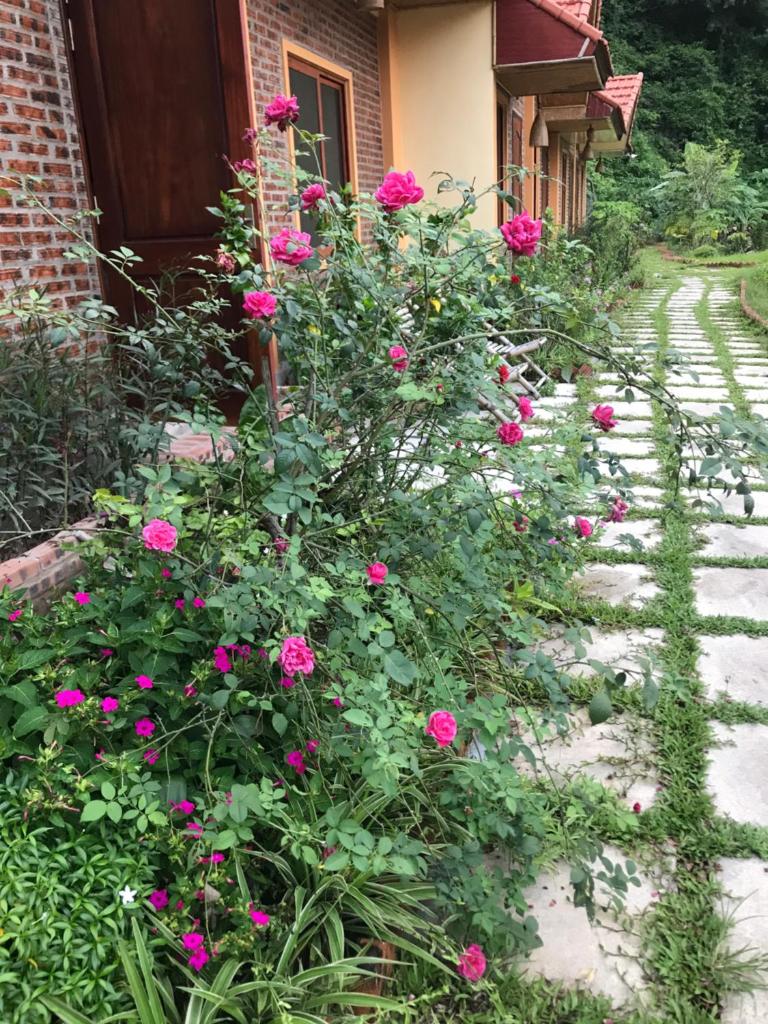 An Ngoc Tam Coc Bungalow