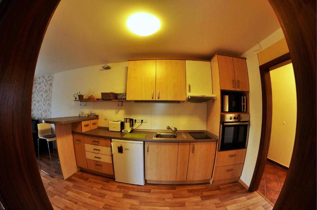 Apartmá Krkonoše photo 3
