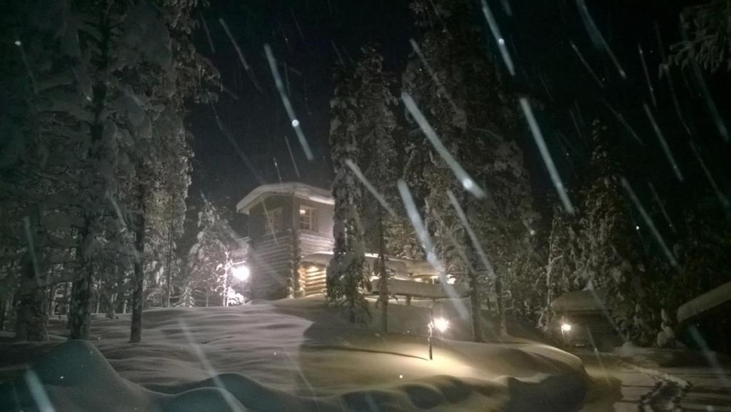 Ankkalinna photo 3