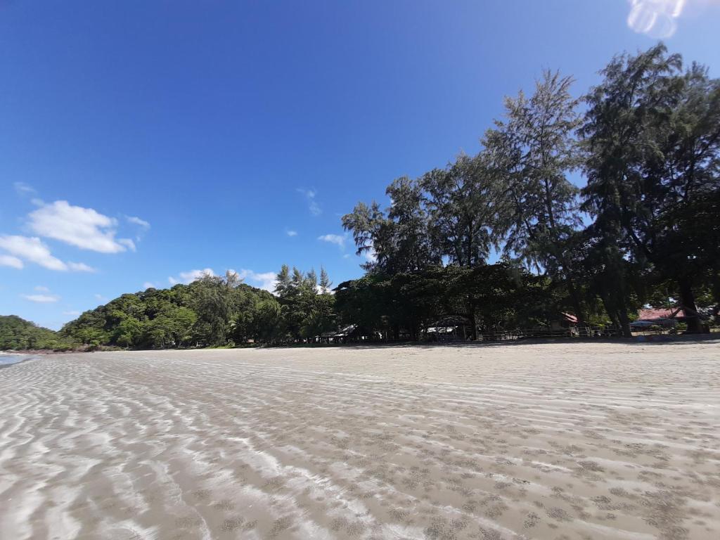 Cameron Island Resort photo 1