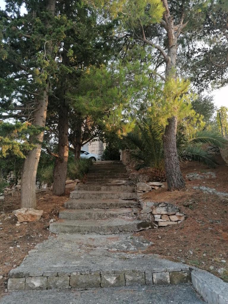 La Petite Maison photo 2