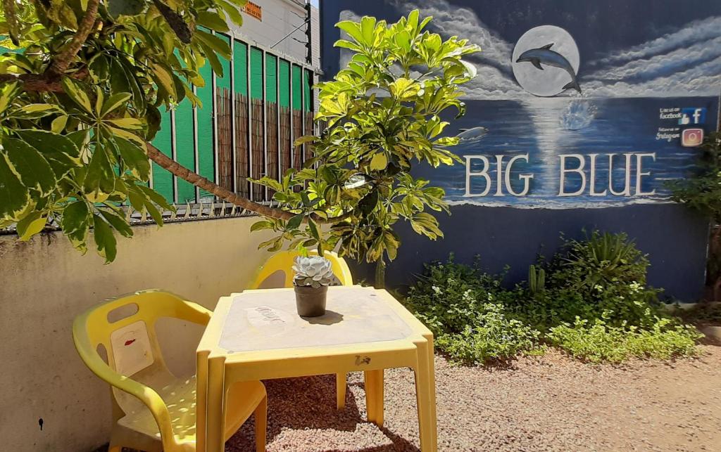 Big Blue Backpackers photo 1