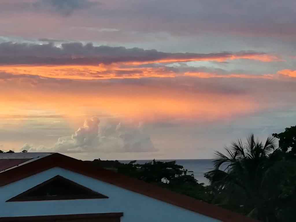 Calme Villa photo 1