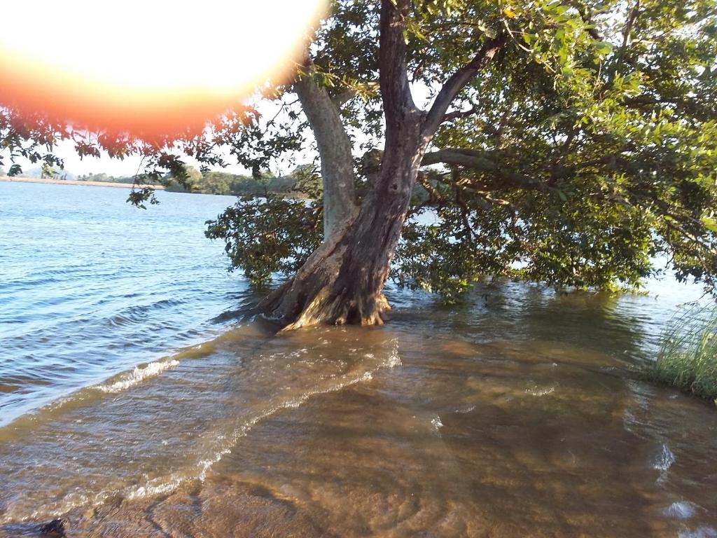 Niduwari Lake Homestay photo 2