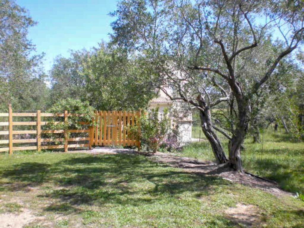 Aroggia Farm photo 3