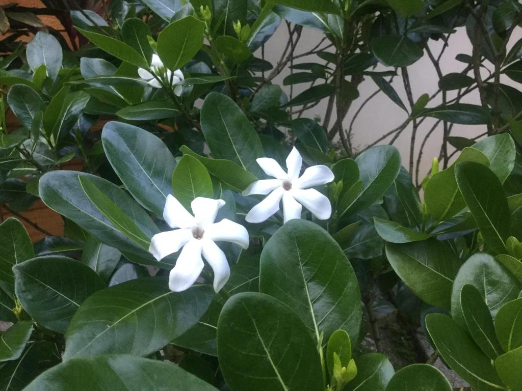Raiatea sur Mer photo 3