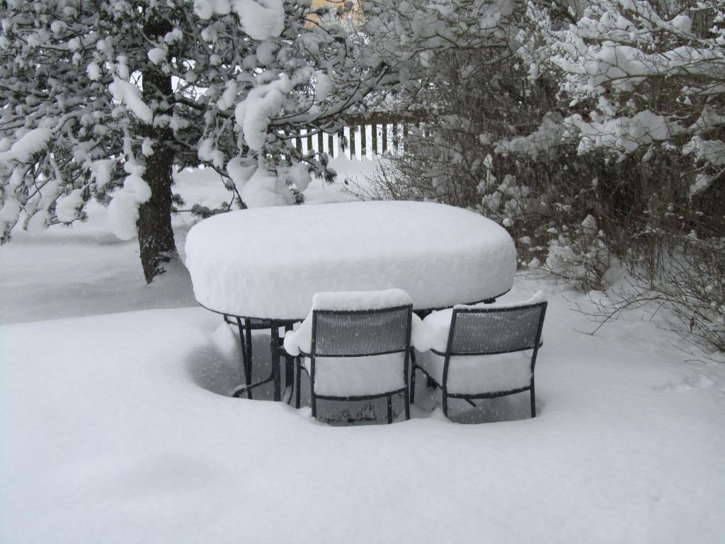 Chalet Halten photo 4