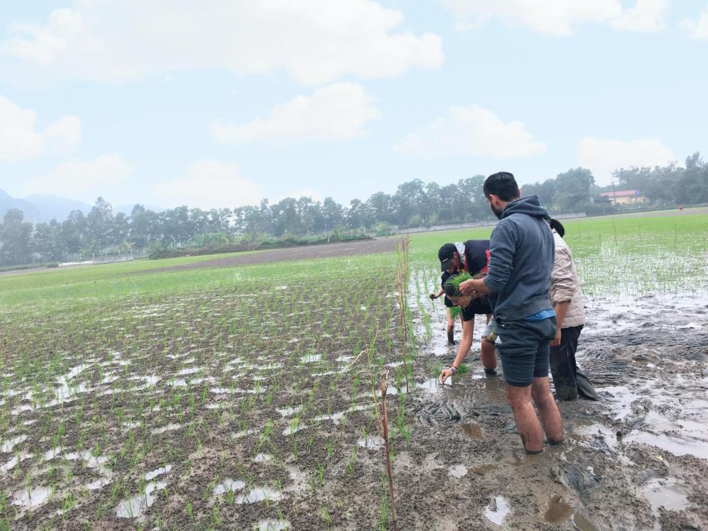 Nam Nhung Tam Coc Homestay