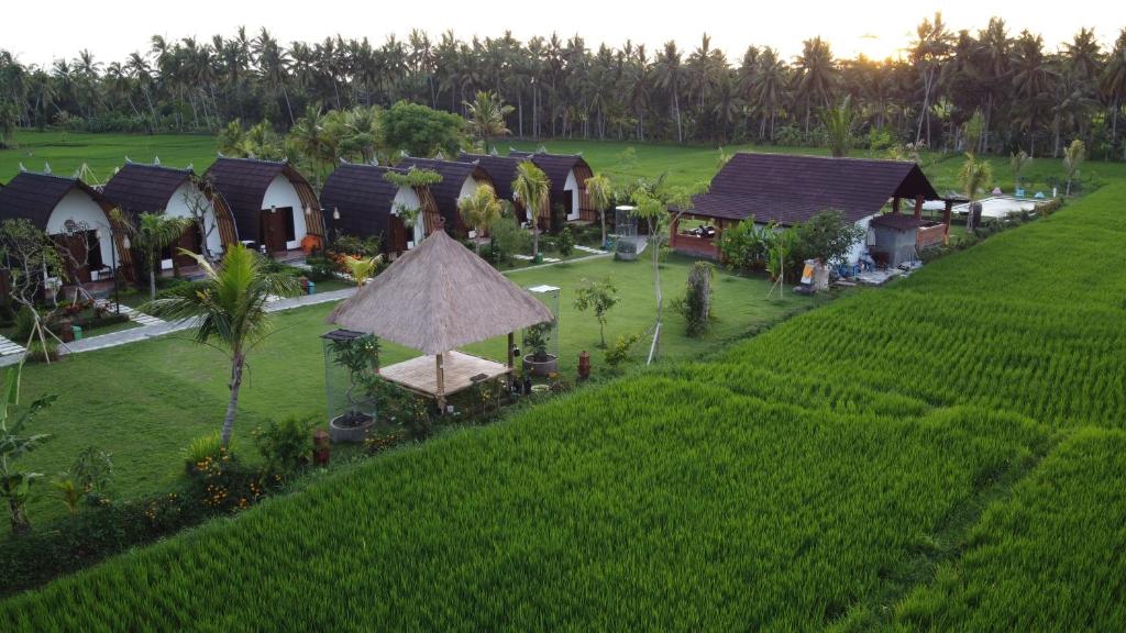 Двухместный (Номер Делюкс), Adil Villa & Resort