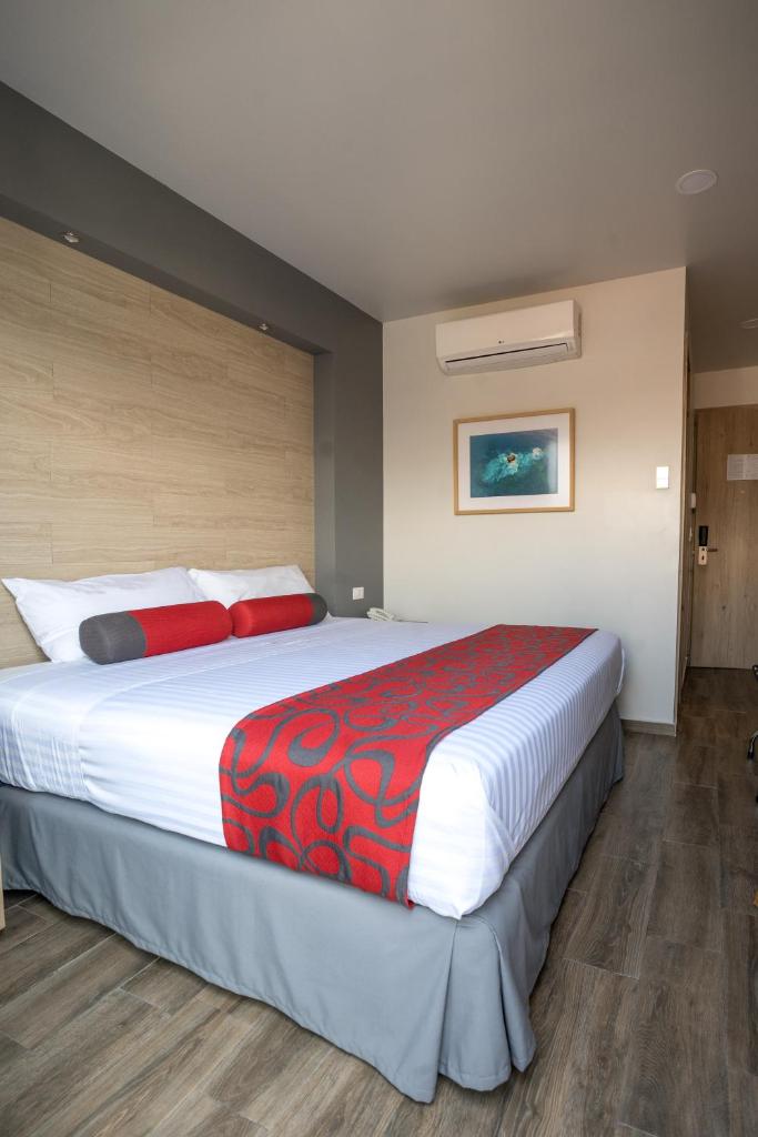 Двухместный (Номер с кроватью размера «king-size»), Hotel Roble