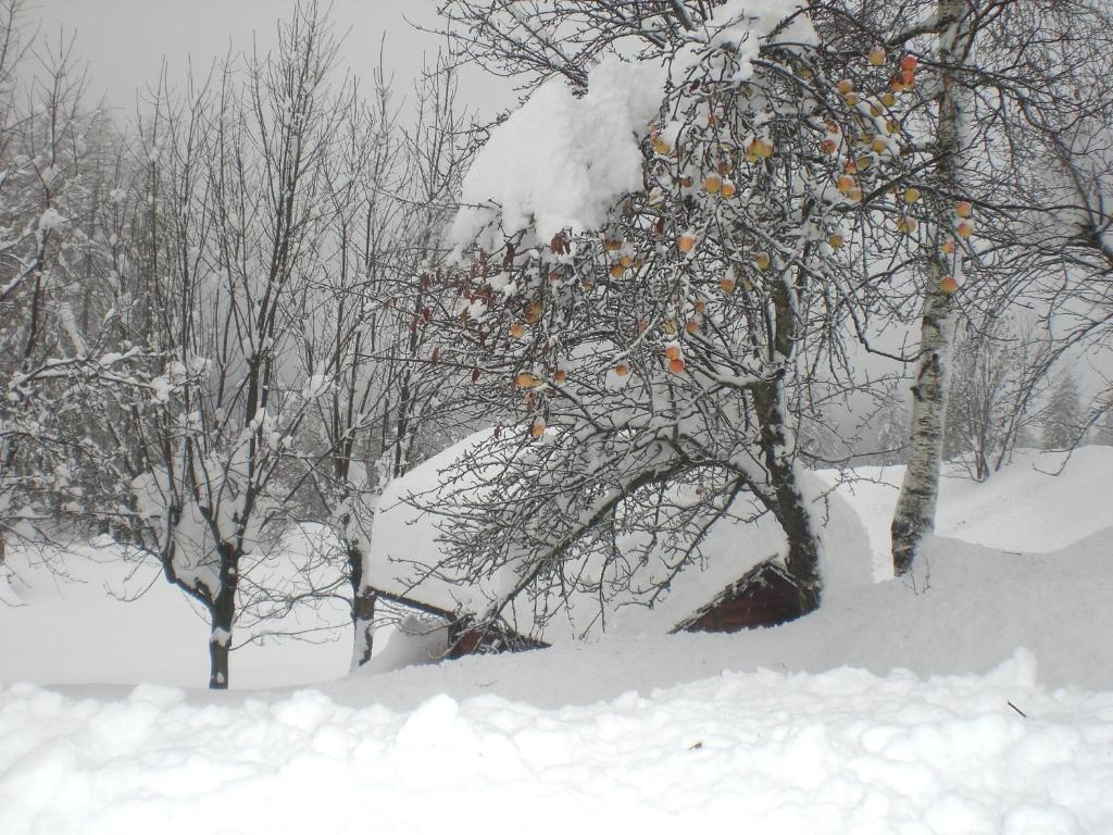 Baita Fraina photo 1