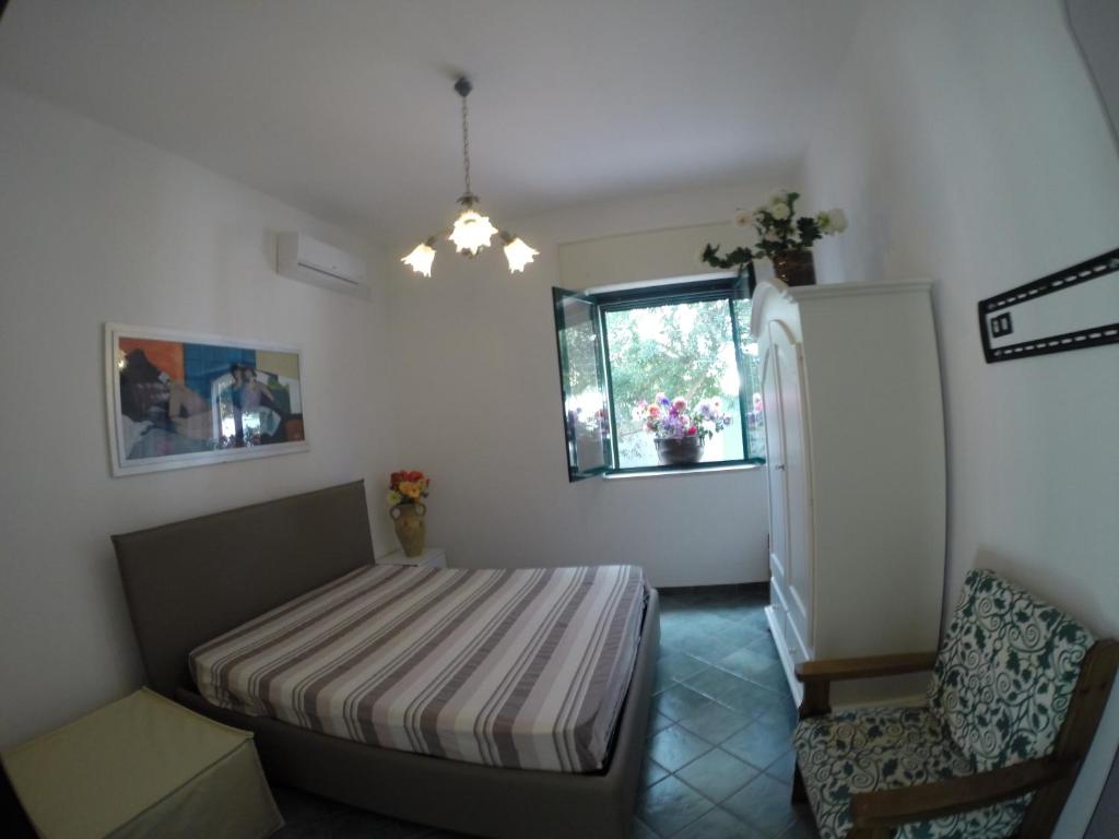 Villa Pi photo 4