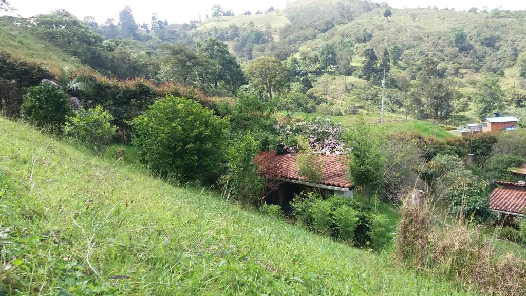 Naturaleza en armonia photo 2