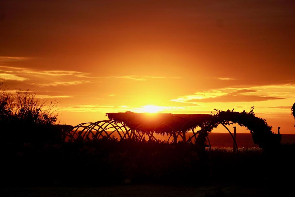 Canoa Suites photo 1