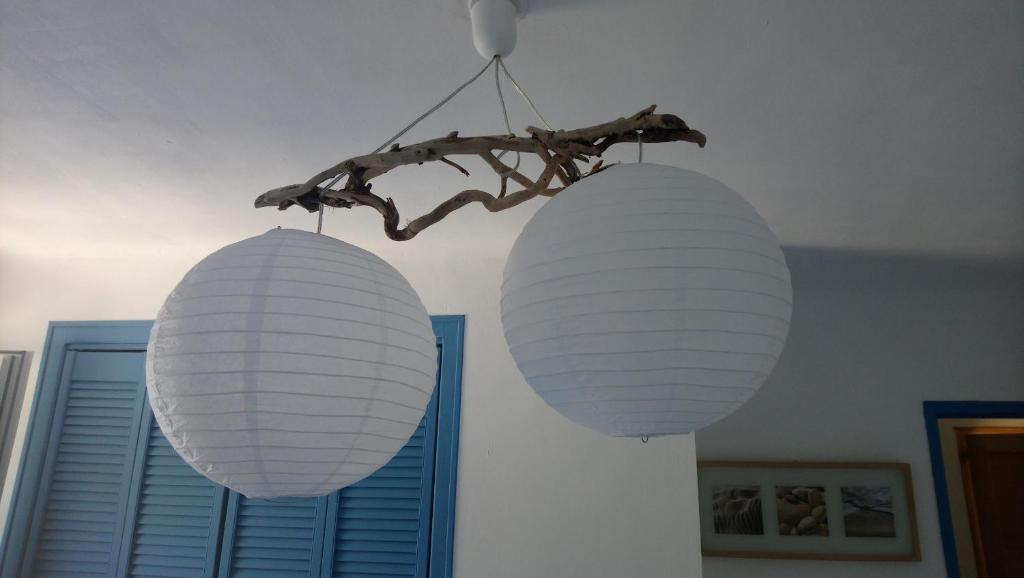L'Esperluette en Camargue photo 2