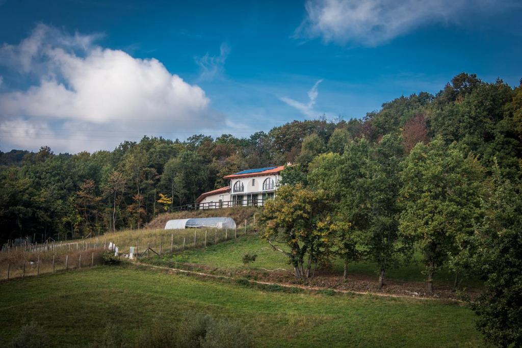 Agriturismo "La Collina" - 15km dal centro di Torino photo 1