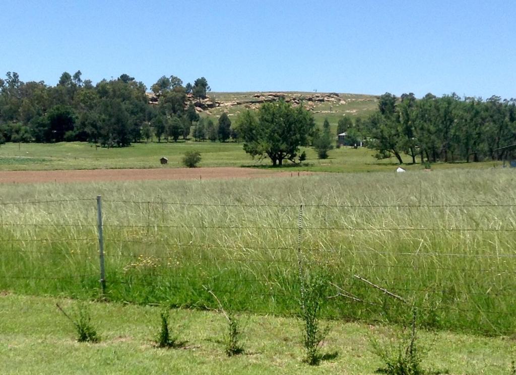 Clarens socialites, Thatch Cottage #1 photo 3
