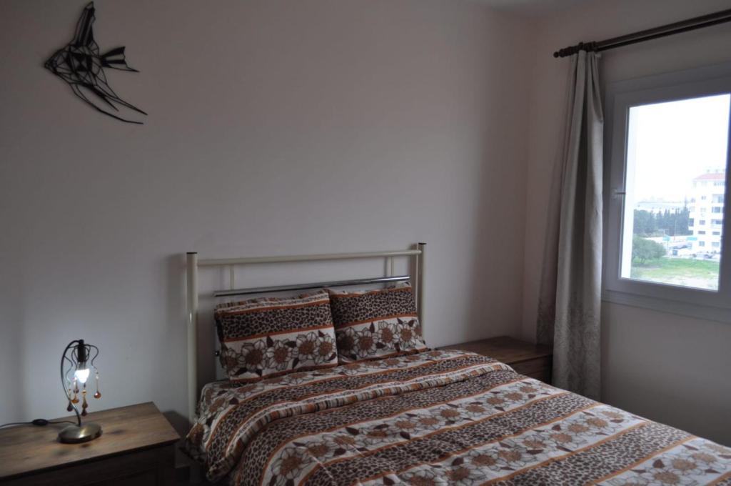 Alp Apartment photo 4