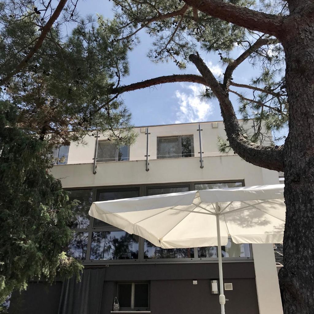 Apartmani Artatore photo 4