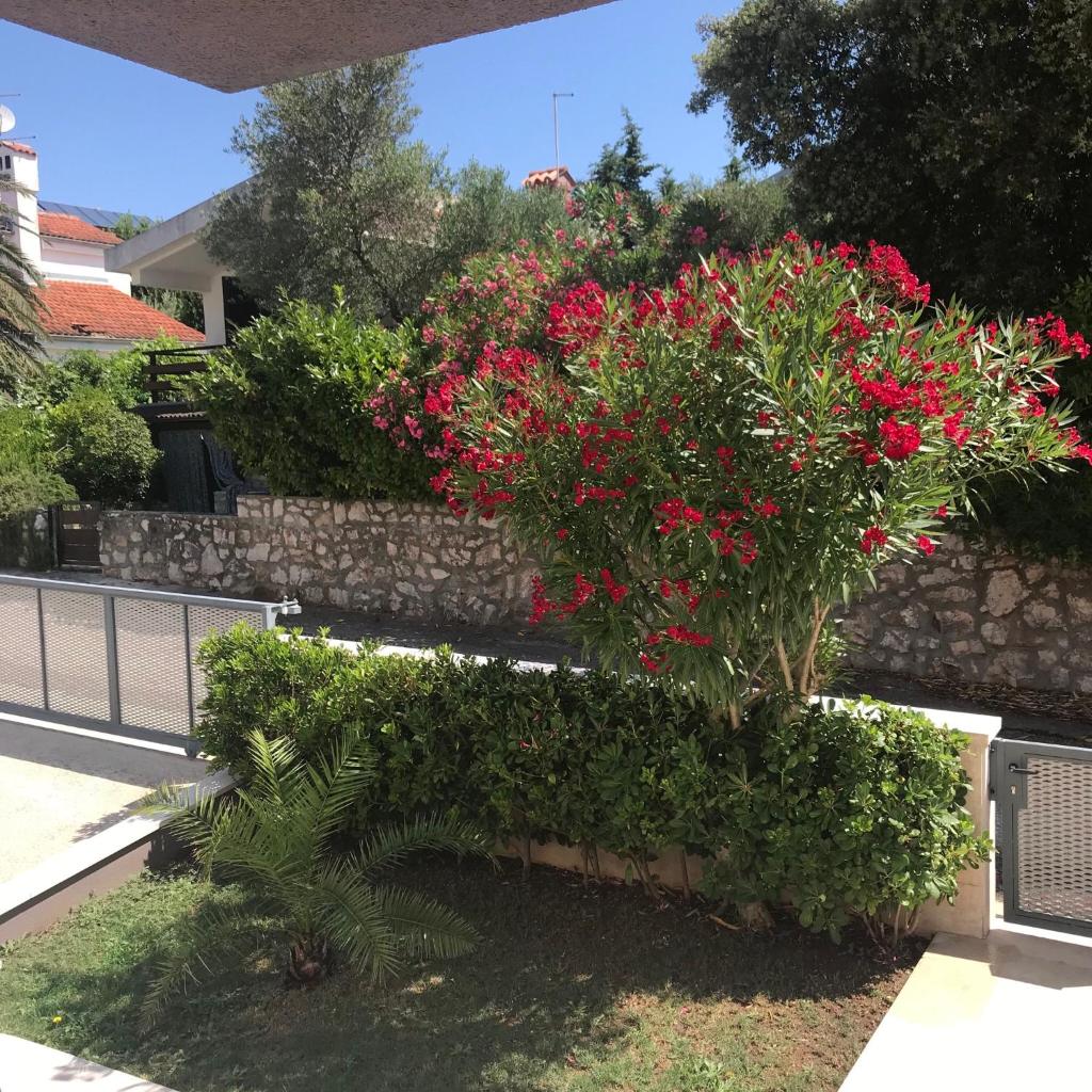 Apartmani Artatore photo 3