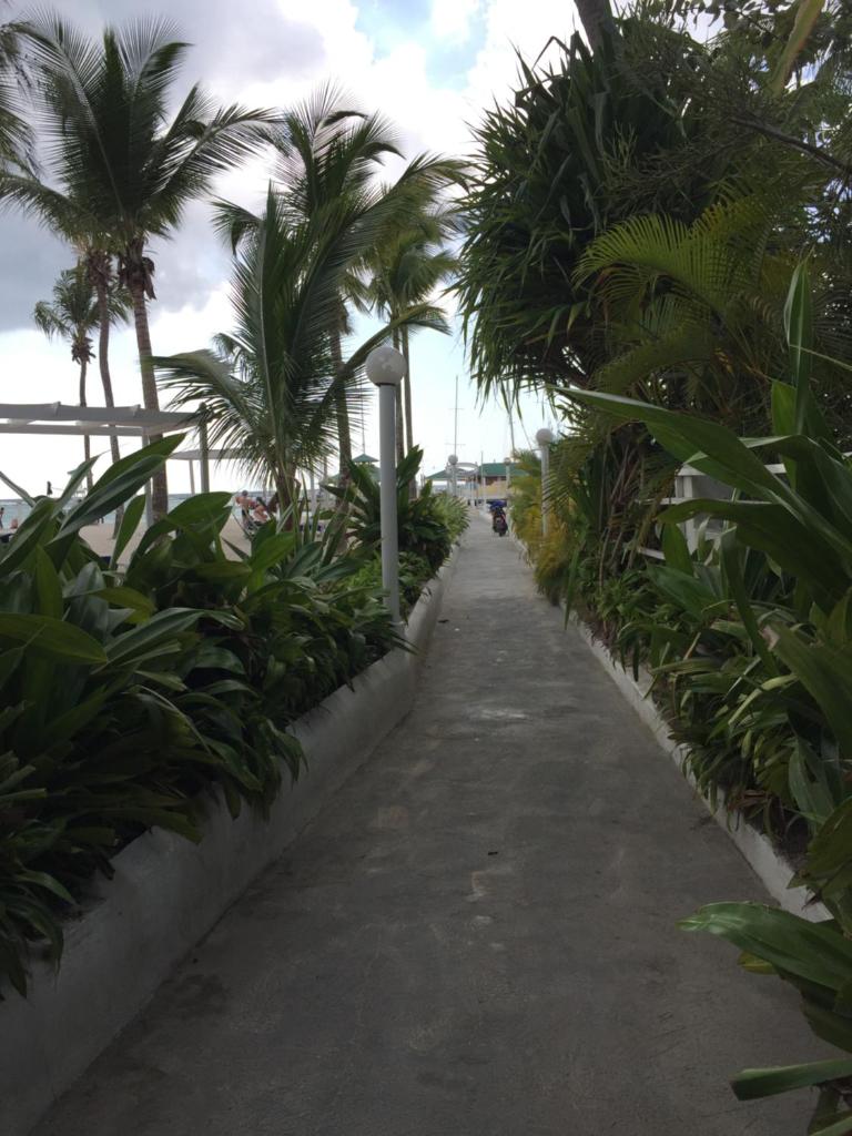 Terraza del Caribe photo 4