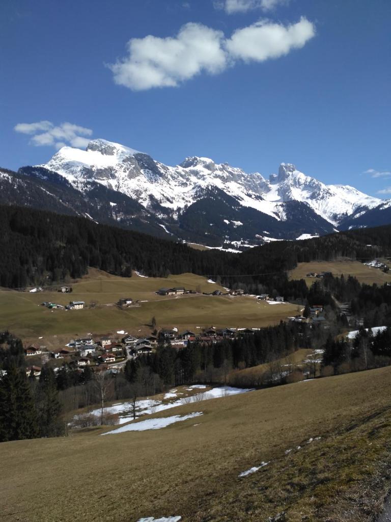 Appartement Leh photo 3