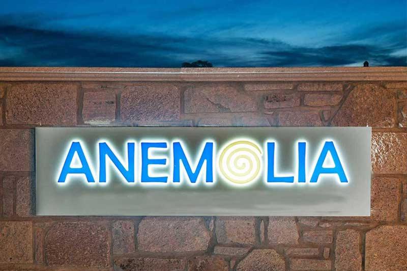 ANEMOLIA photo 1