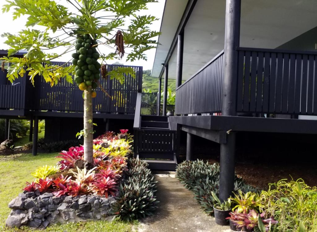 Boaza Place photo 4