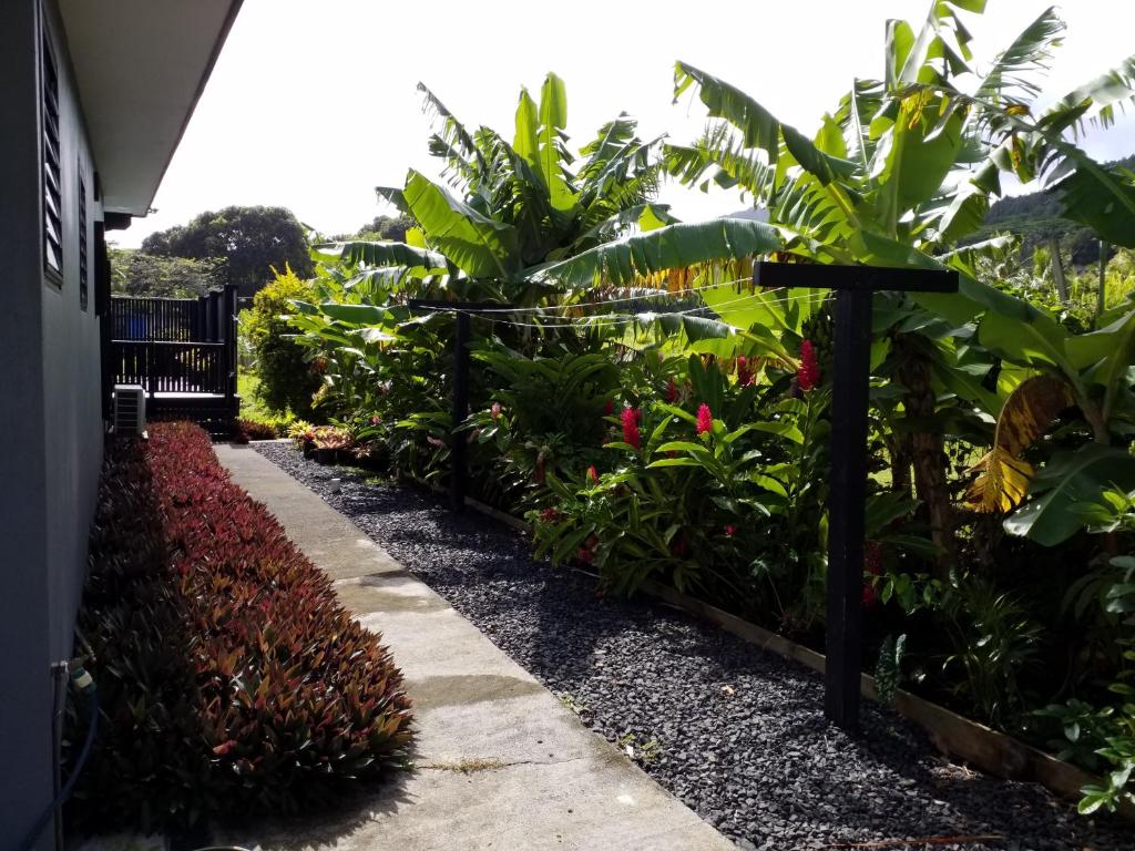 Boaza Place photo 2
