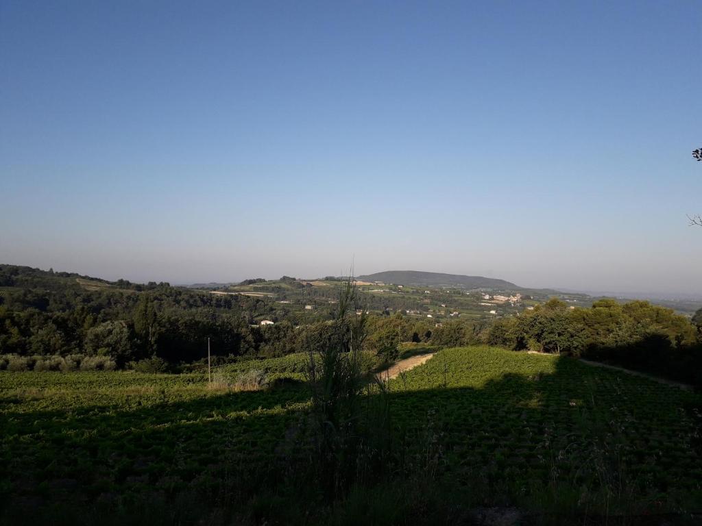 Gîte en provence au coeur des vignes photo 1