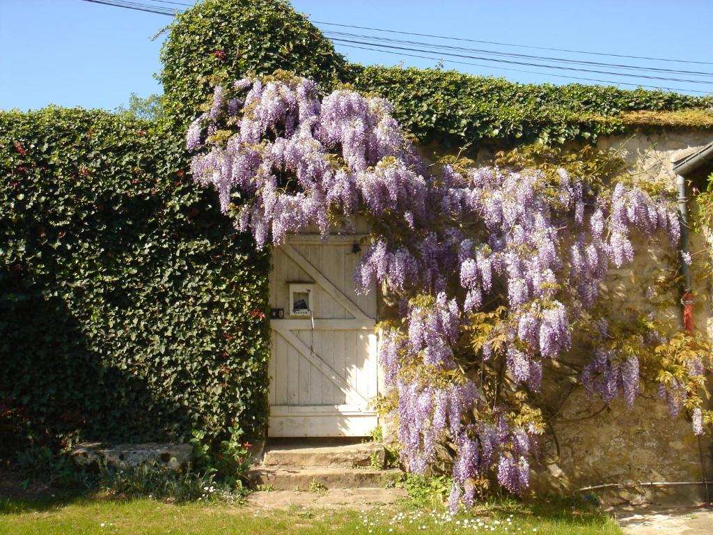 Maison de charme en forêt de Fontainebleau photo 2