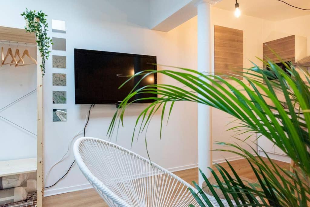 Appartement au calme + parking photo 1