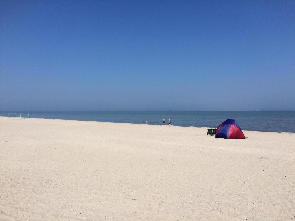Sandburg photo 4