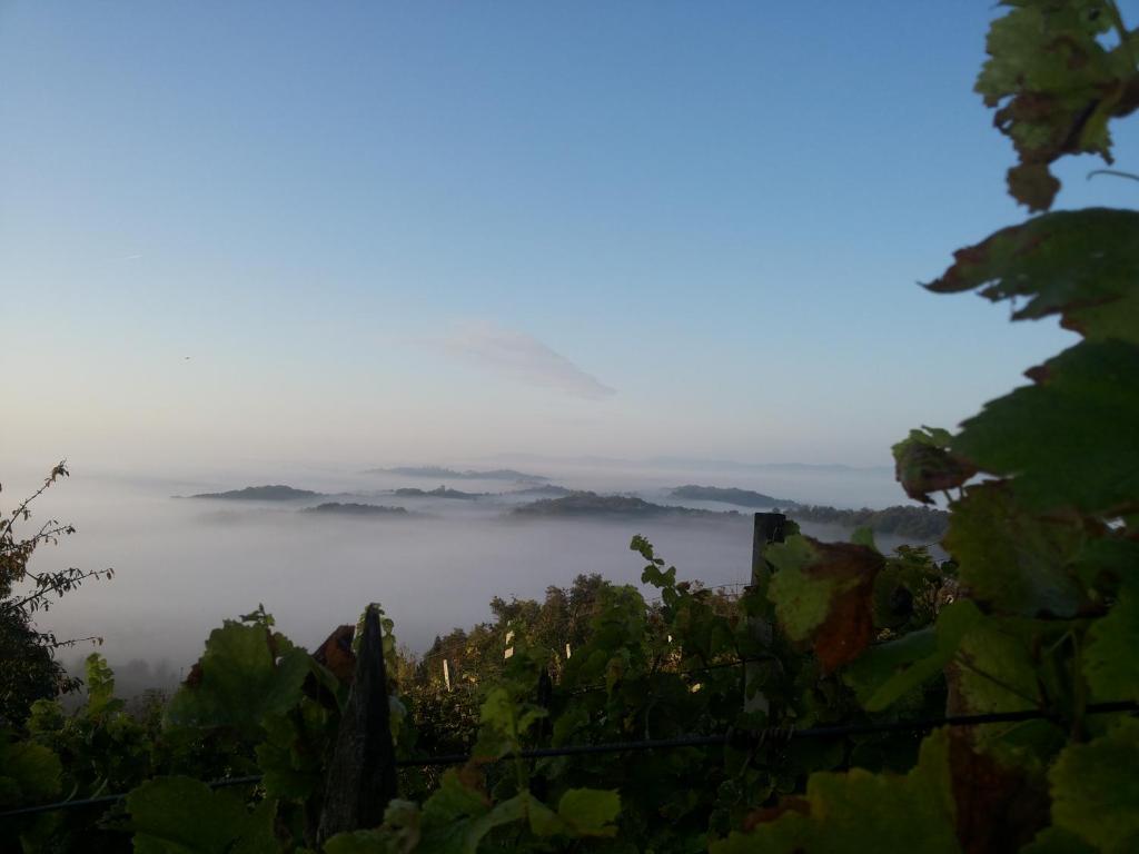 Cesargradska klet photo 1