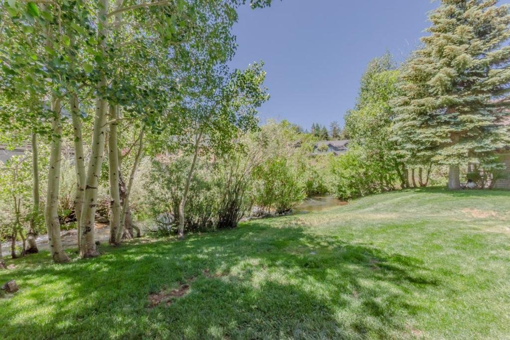 Snowcreek IV 550 photo 1