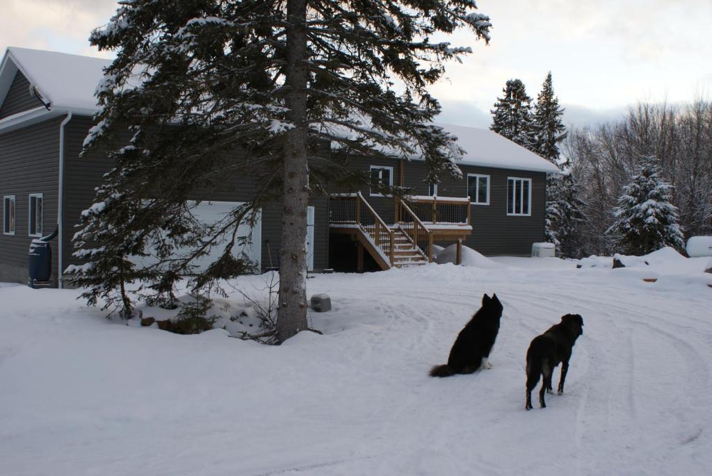 Top of Algonquin Bed and Breakfast photo 1